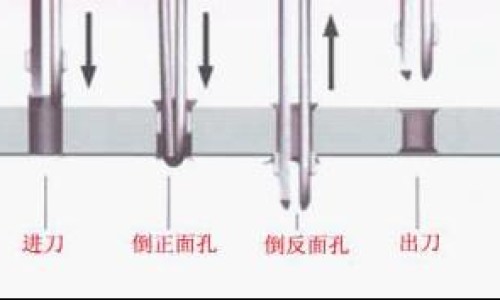 肉桂的药用作用和运用网 | 肉桂的功效与用法用量,肉桂的药性和功效